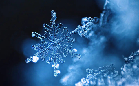 [习作小文]雪中即景