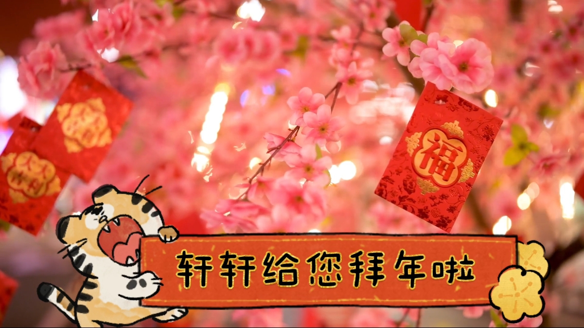 轩轩2022虎年-拜年视频